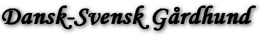 Dansk-Svensk Gårdhund 